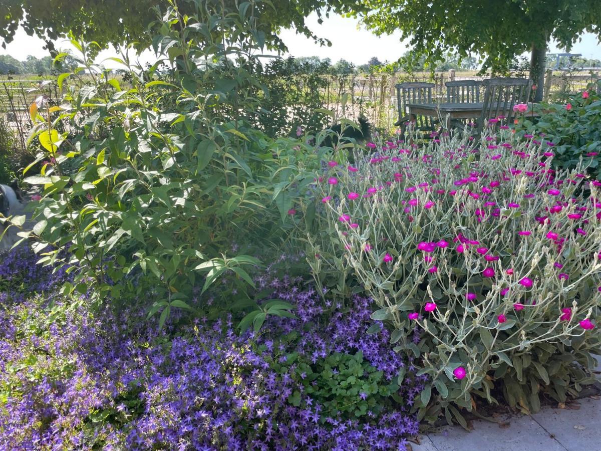 Hestar Husid, Het Luxe Paardenhuis Weesp Bagian luar foto